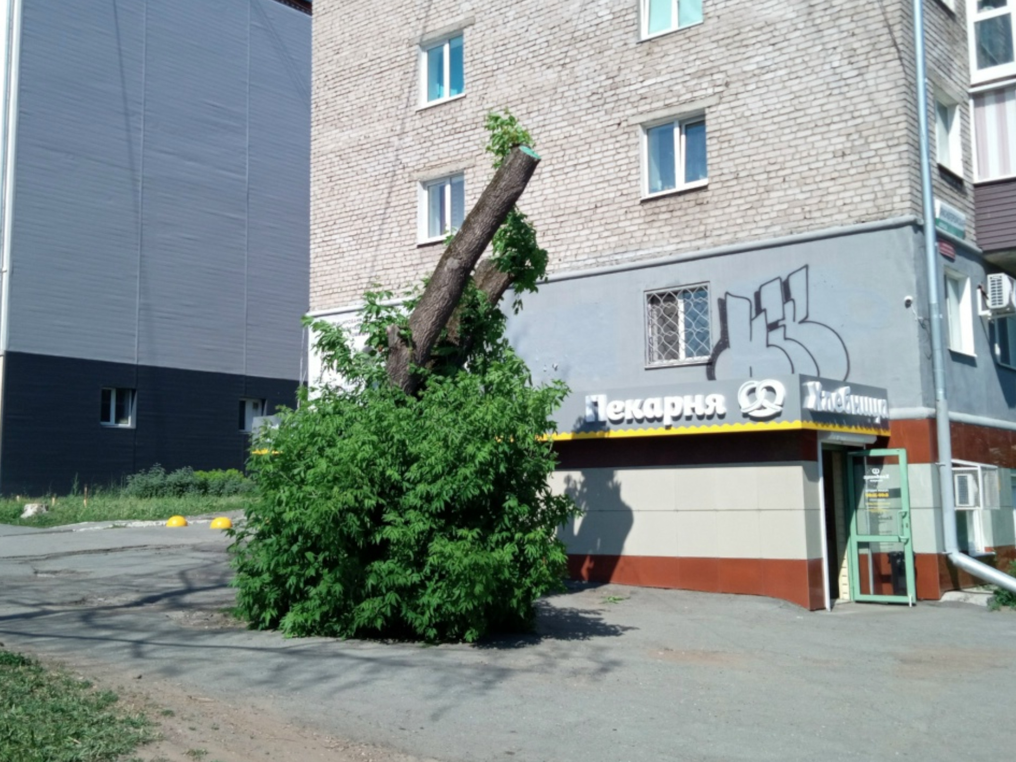 [Входной тест]